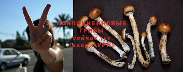 спиды Гусиноозёрск