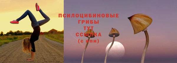 mdma Гусь-Хрустальный