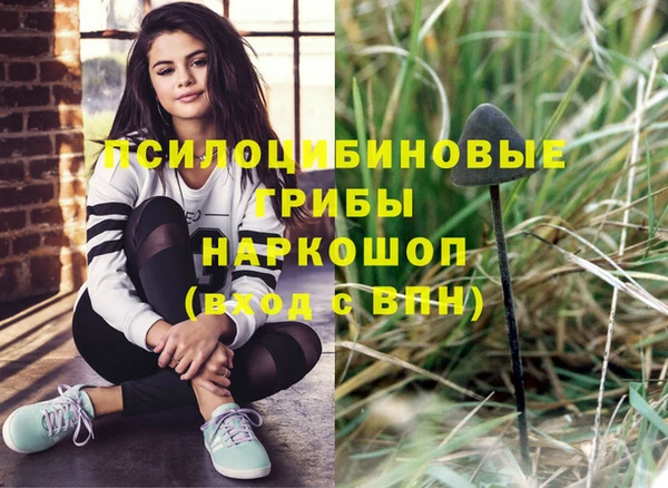 MDMA Горнозаводск
