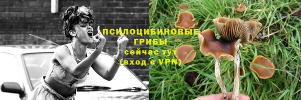 спиды Гусиноозёрск