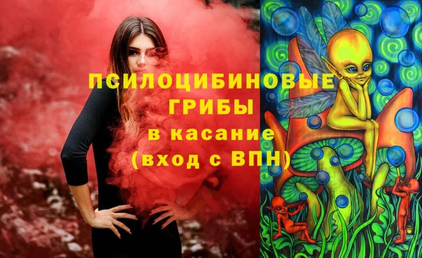 а пвп мука Гусев