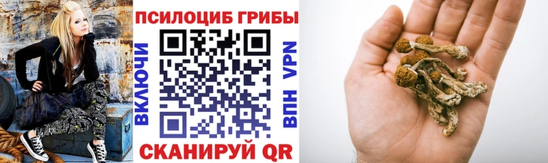 Галлюциногенные грибы Psilocybe  Купить где  Нижние Серги 